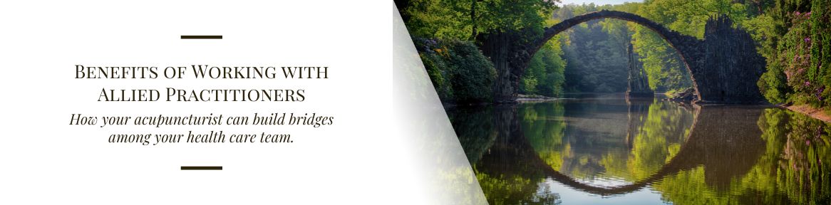 Benefits of Working with Allied Practitioners
How your acupuncturist can build bridges among your health care team.