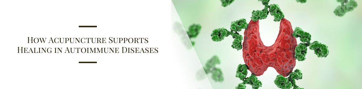 How Acupuncture Supports Healing in Autoimmune Diseases
